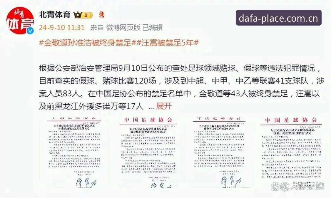 DAFA娱乐平台创新功能iOS版 足协第三批禁足名单深度解读:从数据维度看行业治理——DAFA娱乐平台创新功能iOS版合规使用指南